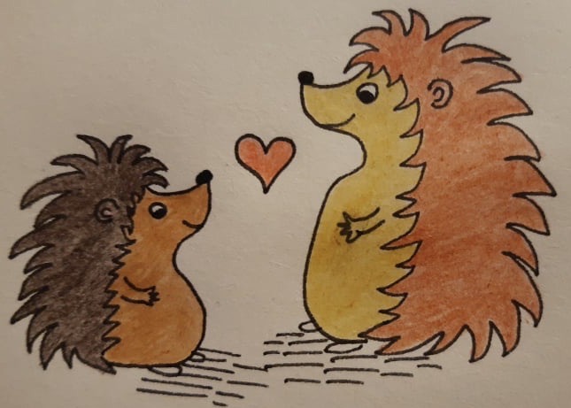 Cartoon image of two hedgehogs drawn by Sophie